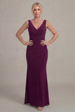 Grape Sheath V Neck Mother of the Bride Dress with Cloak