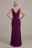 Grape Sheath V Neck Mother of the Bride Dress with Cloak