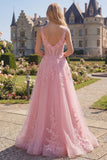 Pink A-Line V-Neck Corset Long Tulle Prom Dress