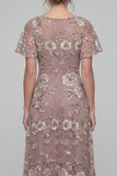 Dusty Rose Sequins A Line V Neck Long Mother of the Bride Dress