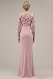Blush Velvet Sheath Bateau Neck Appliqued Long Mother Of the Bride Dress with 3D Flowers