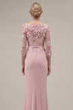 Blush Velvet Sheath Bateau Neck Appliqued Long Mother Of the Bride Dress with 3D Flowers