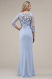 Blush Velvet Sheath Bateau Neck Appliqued Long Mother Of the Bride Dress with 3D Flowers