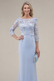 Blush Velvet Sheath Bateau Neck Appliqued Long Mother Of the Bride Dress with 3D Flowers