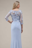 Blush Velvet Sheath Bateau Neck Appliqued Long Mother Of the Bride Dress with 3D Flowers