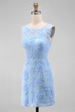 Azure Blossom Powder Blue Floral Lace Sleeveless Mini Dress