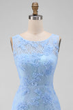 Azure Blossom Powder Blue Floral Lace Sleeveless Mini Dress