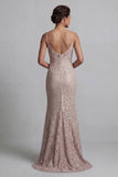 Champagne Mermaid 2 Piece Lace Floral Long Mother of the Bride Dress