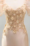 Blush Mermaid Corset Satin V-Neck Long Prom Dress with 3D Flowers