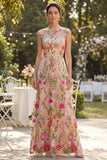 Tulle A-Line Bateau Neck Blush Embroidered Long Floral Dress