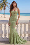 Lace Sage Green Mermaid Sweetheart Corset Long Prom Dress