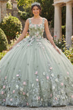 Square Neck Dusty Sage Floral Appliqued Quinceanera Dress