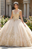 Champagne Appliqued V Neck Ball Gown Quinceanera Dress