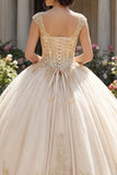 Champagne Appliqued V Neck Ball Gown Quinceanera Dress