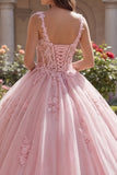 Pink Spaghetti Straps Corset Appliqued Ball Gown Quinceanera Dress