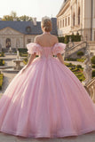 Pink Halter Neck Ball Gown Beaded Corset Quinceanera Dress with Puff Sleeves