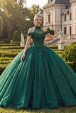 Dark Green Halter Neck Ball Gown Appliqued Glitter Quinceanera Dress