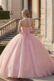 Ball Gown Blush Halter Neck Appliqued Quinceanera Dress