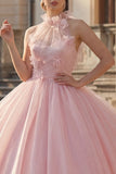Ball Gown Blush Halter Neck Appliqued Quinceanera Dress