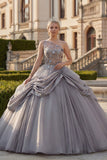Light Grey One Shoulder Ball Gown Ruched Appliqued Quinceanera Dress