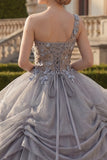 Light Grey One Shoulder Ball Gown Ruched Appliqued Quinceanera Dress