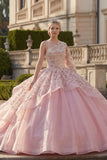 Ball Gown Pink One Shoulder Beaded Ruffled Quinceanera Dress