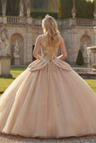 Sparkly One Shoulder Sequins Ball Gown Champagne Quinceanera Dress