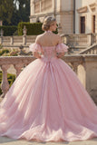 Pink Ball Gown Halter Neck Appliqued Quinceanera Dress with Flutter Sleeves