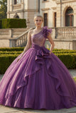 One Shoulder Ball Gown Dark Purple Quinceanera Dress with Ruffles