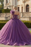 One Shoulder Ball Gown Dark Purple Quinceanera Dress with Ruffles