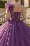 One Shoulder Ball Gown Dark Purple Quinceanera Dress with Ruffles
