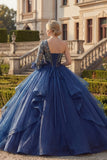 Navy One Shoulder Ball Gown Floral Quinceanera Dress with Ruffles