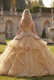 Sparkly One Shoulder Ball Gown Sequins Champagne Quinceanera Dress with Ruffles