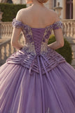 Off the Shoulder Ball Gown Purple Appliqued Ruched Quinceanera Dress