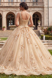 Champagne Ball Gown V Neck Appliqued Quinceanera Dress