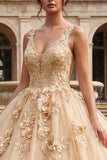 Champagne Ball Gown V Neck Appliqued Quinceanera Dress