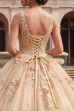 Champagne Ball Gown V Neck Appliqued Quinceanera Dress