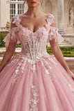Cold Shoulder Pink Appliqued Ball Gown Quinceanera Dress