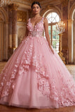 Pink V-Neck Ball-Gown Appliqued Quinceanera Dress
