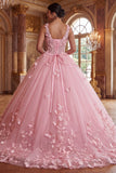 Pink V-Neck Ball-Gown Appliqued Quinceanera Dress