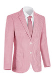 Notch Lapel Light Blue Single Breasted Men's Jacket