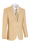 Notch Lapel Light Blue Single Breasted Men's Jacket