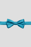 Aqua Men's Party Bow Ties