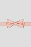 Aqua Men's Party Bow Ties