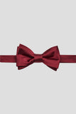 Aqua Men's Party Bow Ties