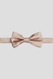 Aqua Men's Party Bow Ties