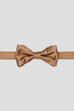 Aqua Men's Party Bow Ties