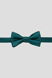 Aqua Men's Party Bow Ties