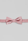Aqua Men's Party Bow Ties