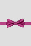 Aqua Men's Party Bow Ties